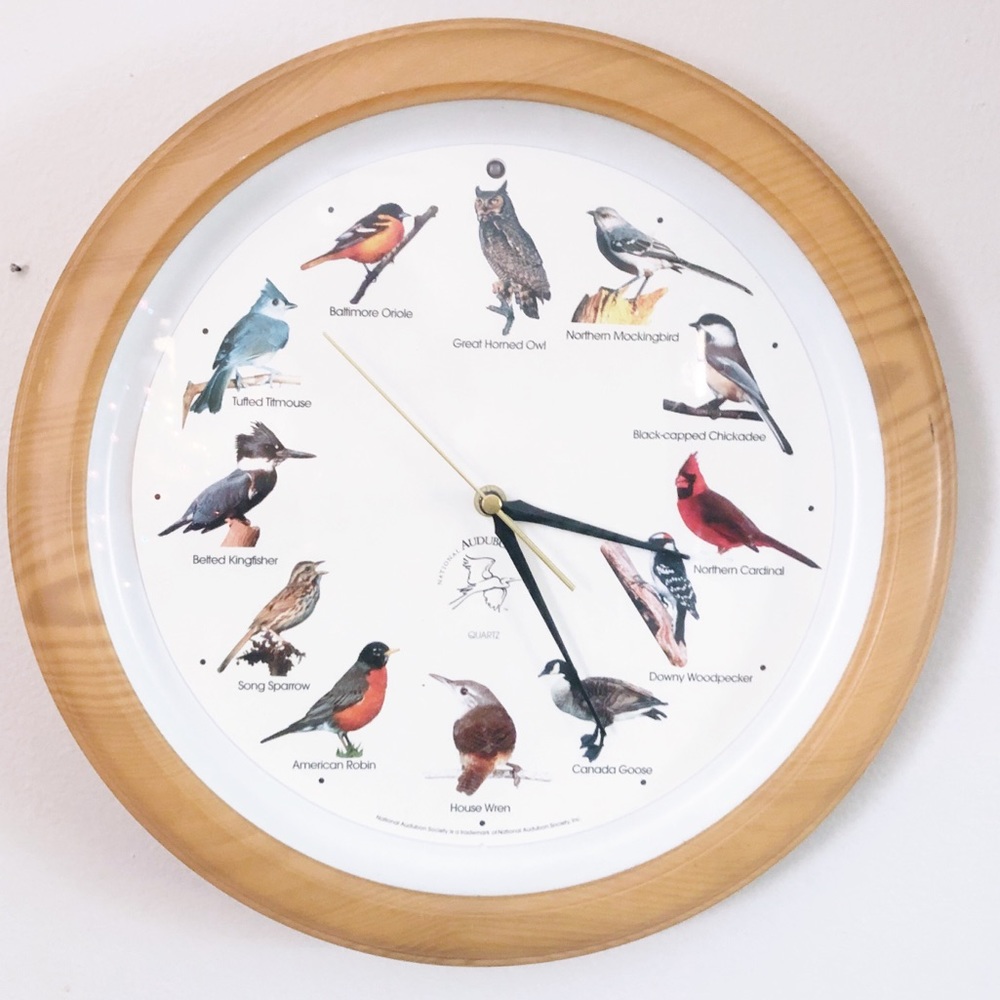 National Audubon Society Bird Clock Quartz Circle